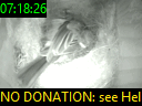 07:18:26