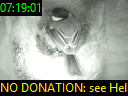 07:19:01