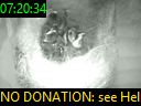 07:20:34