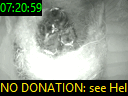 07:20:59