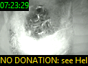 07:23:29