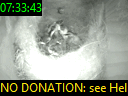 07:33:43