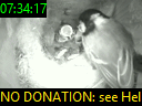 07:34:17