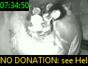 07:34:50