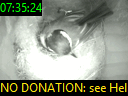 07:35:24