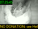 07:35:45