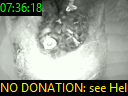 07:36:18