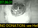 07:36:31