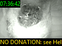 07:36:42