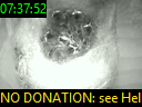 07:37:52