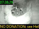 07:38:29