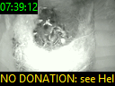 07:39:12