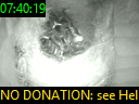 07:40:19