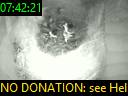 07:42:21