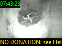 07:43:23