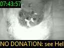 07:43:57