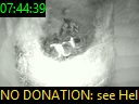 07:44:39