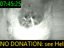 07:45:25