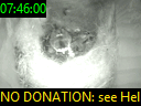 07:46:00