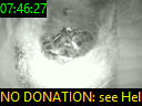 07:46:27