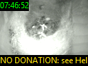 07:46:52