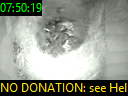 07:50:19