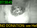 07:50:45
