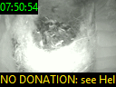 07:50:54