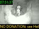 07:51:37