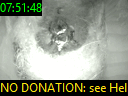 07:51:48