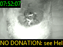 07:52:07