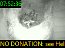 07:52:36