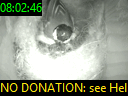 08:02:46