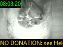 08:03:20