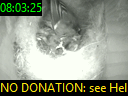 08:03:25