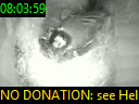 08:03:59