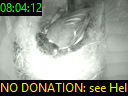 08:04:12