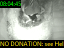 08:04:45