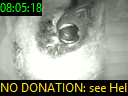 08:05:18