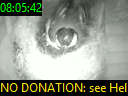 08:05:42