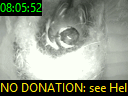 08:05:52