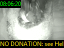 08:06:20