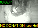 08:06:44
