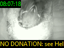 08:07:18