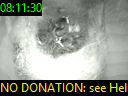 08:11:30