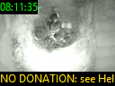 08:11:35