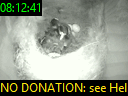 08:12:41
