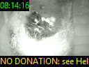 08:14:16