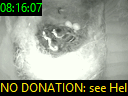 08:16:07