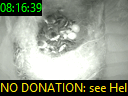 08:16:39